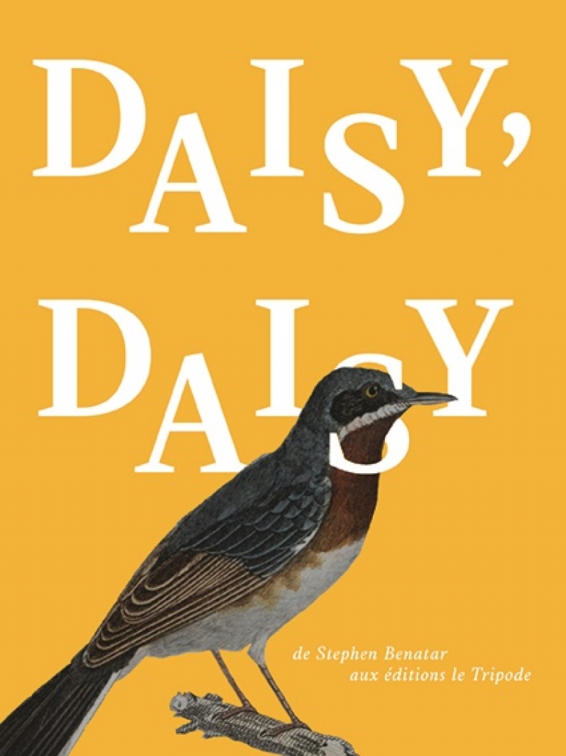 Daisy Daisy de Stephen Benatar