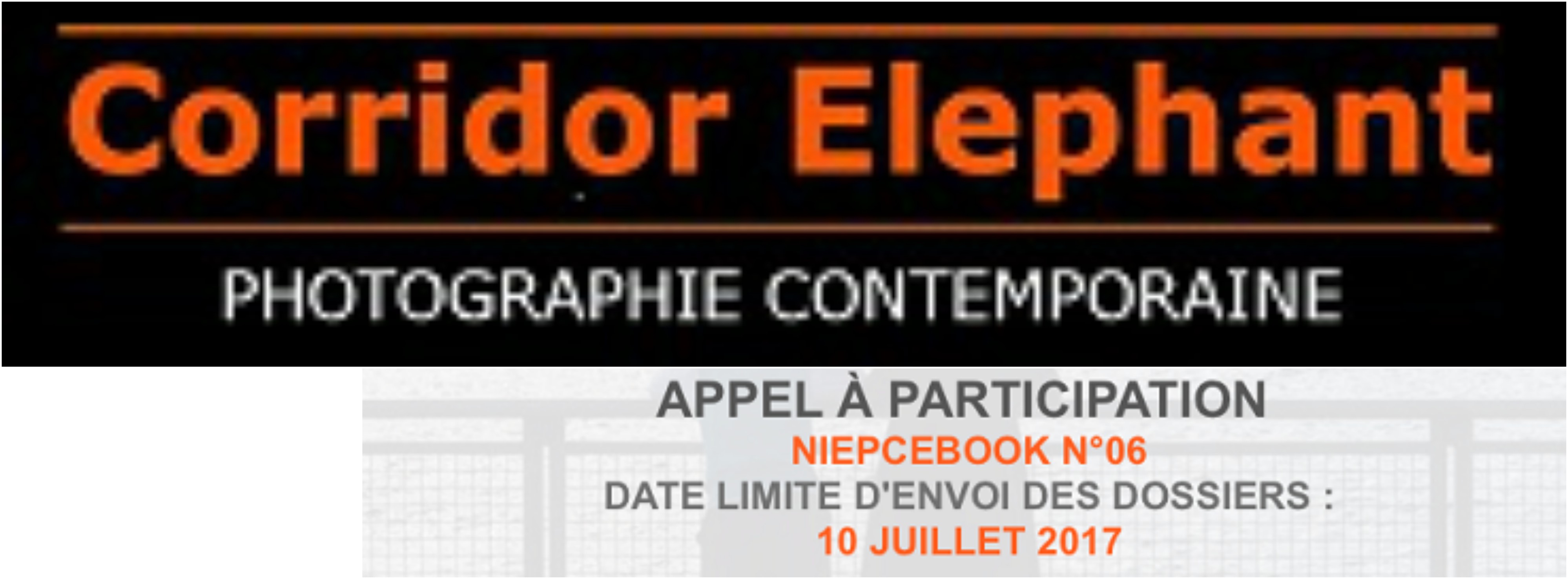 Appel à participation pour le NIEPCEBOOK n°6 de Corridor Elephant